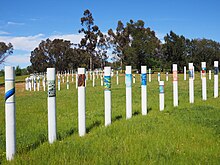 Part of the SIEV X Memorial Poles leading south in the SIEV X Memorial October 2014.jpg