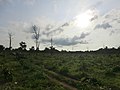 Polonnaruwa, Sri Lanka - panoramio (37).jpg