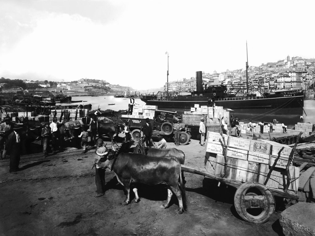 Chargement de portos sur les quais de Vila de Gaia dans les années 1930/1940 (?). Photo de Domingos Alvão