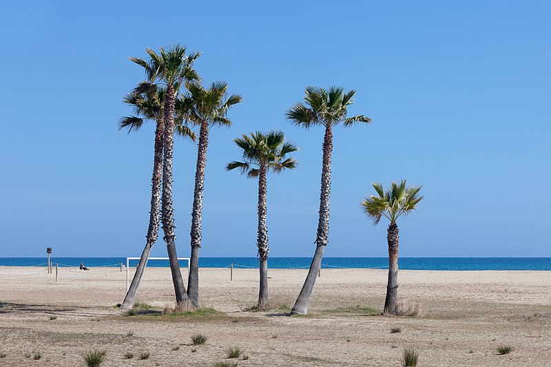 File:Praia de Coma-ruga. El Vendrell. Tarragona-28.jpg