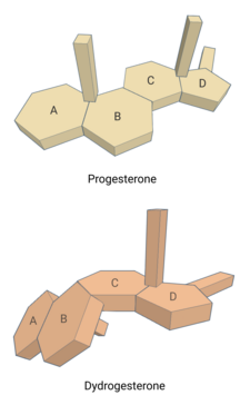 A 3D schematic representation of the chemical structures of progesterone (top) and dydrogesterone (bottom), showing the retrosteroid spatial configuration of dydrogesterone. Progesterone and dydrogesterone 3D chemical structures comparison.png