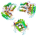 Vignette pour Caspase 8