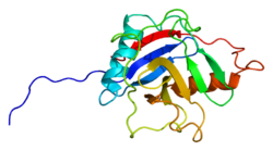 Proteini PPIL1 PDB 1xwn.png