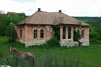 Ruinele vechiului conac din satul Pruniș