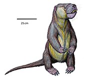 Life restoration of the Paleocene taeniodont mammal Psittacotherium multifragum Psittacotherium multifragumDB24.jpg