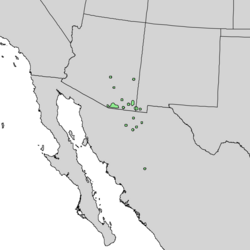 Distribución natural de Quercus toumeyi