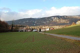 <span class="mw-page-title-main">Rüttenen</span> Municipality in Solothurn, Switzerland