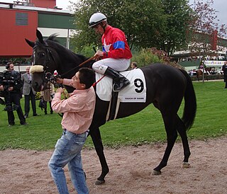 <span class="mw-page-title-main">Stockholm Cup International</span> Horse race