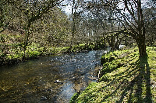 River Walkham - geograph.org.uk - 4919935