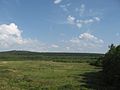 Rotes Moor- Blick vom Aussichtsturm