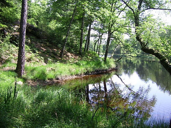 Typical landscape in Corrèze