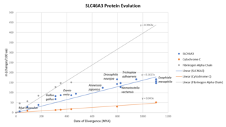 Evolution Rate of SLC46A3. SLC46A3 Protein Evolution.png