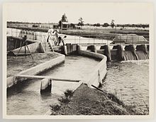 Irrigation in New South Wales during the 1920s SLNSW 920634 Series 09 Irrigation ca 19211924.jpg