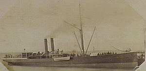 SS ogohlantirish 1882.jpg