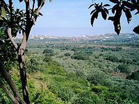 Llanuras de Koura