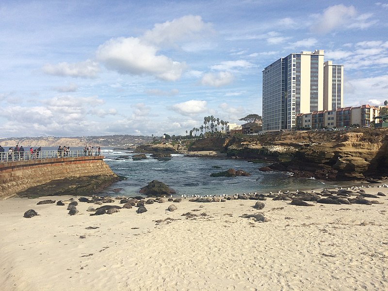 File:San Diego (31214293012).jpg