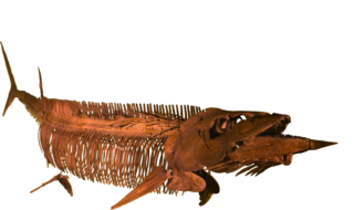 <i>Saurodon</i> Extinct genus of fishes