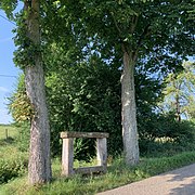 Banc-reposoir entouré de 2 marronniers.