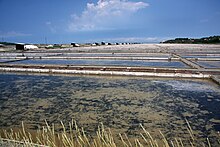 The Secovlje Saltworks on the Northern Adriatic Sea were probably started in Antiquity and were first mentioned in 804 in the document on Placitum of Riziano. Secoveljske soline - Lera3.jpg