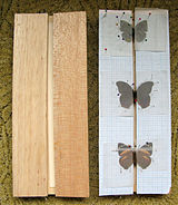 ULTECHNOVO Wood Pinning Block Laboratory Teaching Display Equipment Insect Pin Holder Wood Needle Stand for Teacher Student School 