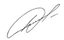 Igor Plotnjicki's signature