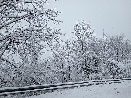 Snow in Monte Cimone