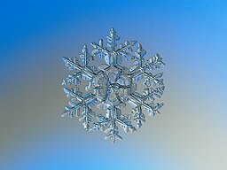 Snowflake macro photography 1