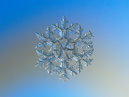 Macro photography of natural snowflake