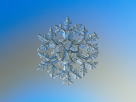 Fail:Snowflake macro photography 1.jpg