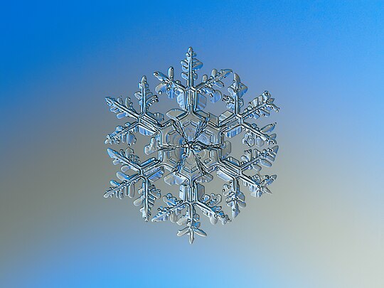 צילום מאקרו של פתית שלג. זהו פתית גדול יחסית, בקוטר 4–5 מ"מ.