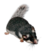 SpectacledDormouse C.png