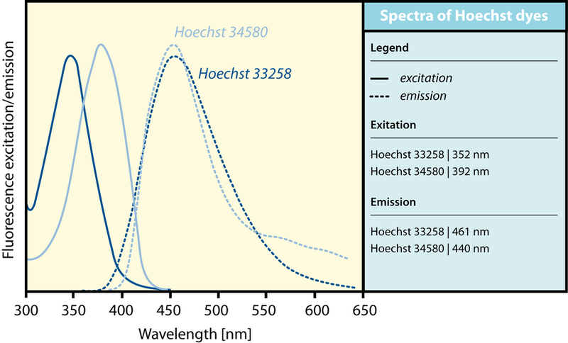 File:Spectra of Hoechst dyes.png