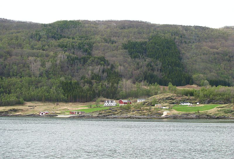 File:Spruce-Troms-Norway.JPG