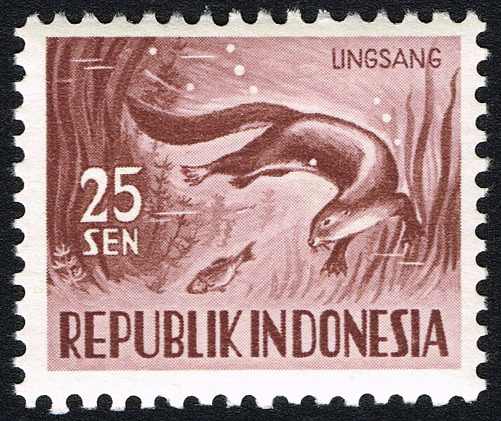 File:Stamp of Indonesia - 1956 - Colnect 152848 - Smooth coated Otter Lutrogale perspicillata.jpeg