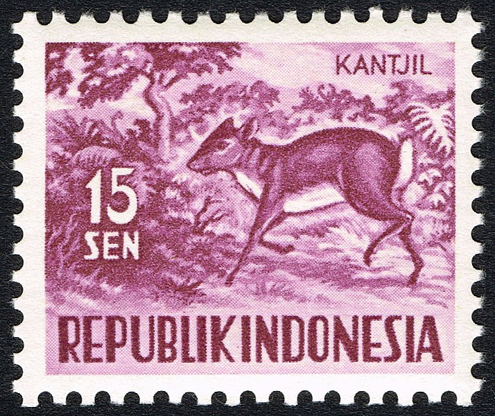 File:Stamp of Indonesia - 1956 - Colnect 231770 - Lesser Malay Chevrotain Kantjil.jpeg