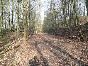 Bahnstrecke Ducherow–Heringsdorf–Wolgaster Fähre: Streckenverlauf, Geschichte, Pläne für den Wiederaufbau der Strecke ab Ducherow