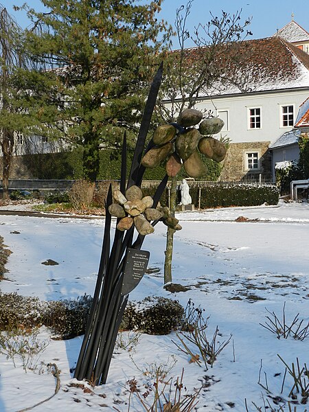 File:Steinblume im Park, Poellau, Austria.jpg