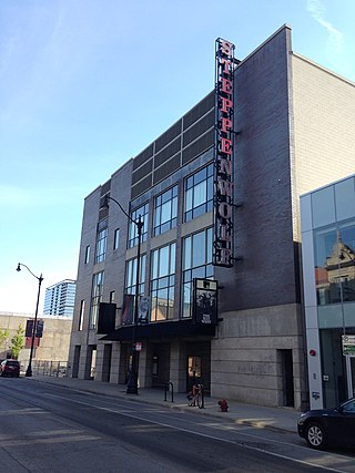 <span class="mw-page-title-main">Steppenwolf Theatre Company</span> Theater and theater company in Chicago, Illinois, United States