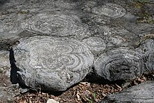 Resultado de imagen de stromatolites fossil