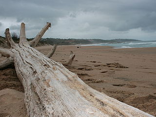 <span class="mw-page-title-main">Trafalgar, South Africa</span> Seaside Village in KwaZulu-Natal, South Africa