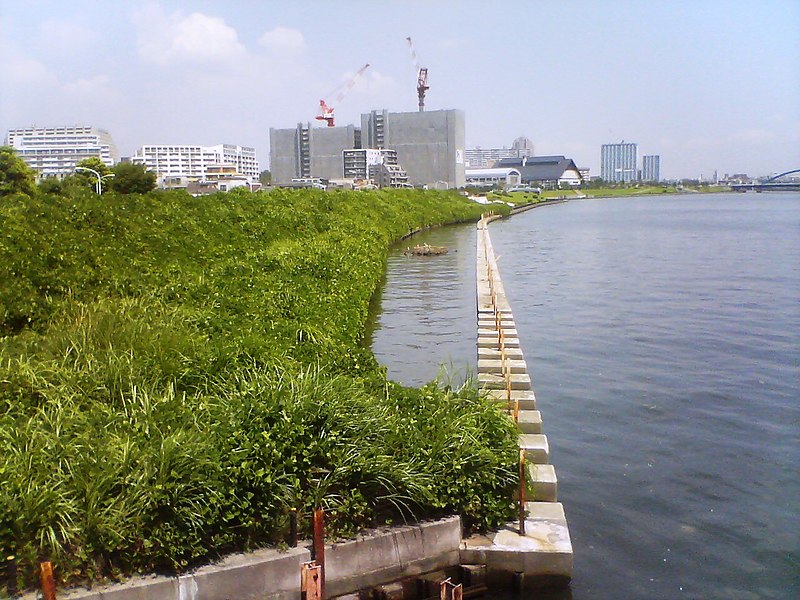 File:Sumidagawa-River08080802.jpg
