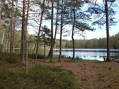 Kuidas ühistranspordiga sihtpunkti Rõõsa jõuda - kohast