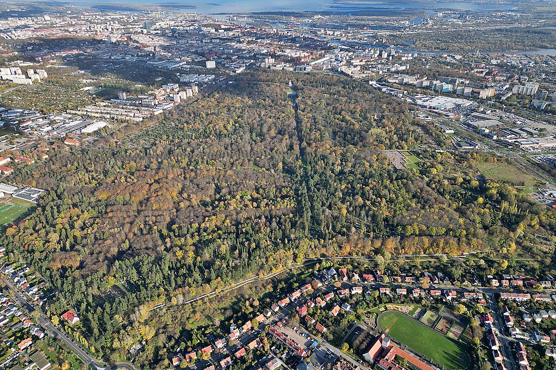 Cmentarz Centralny w Szczecinie