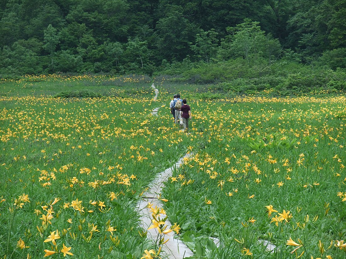 藤里町