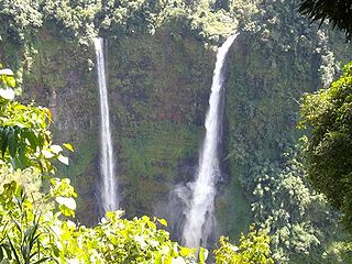 <span class="mw-page-title-main">Bolaven Plateau</span> Elevated region in southern Laos