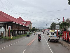 Tagbilaran East Road, Dimiao, Route 850 sign