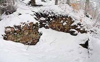 <span class="mw-page-title-main">Tannenfels Castle (Palatinate)</span>