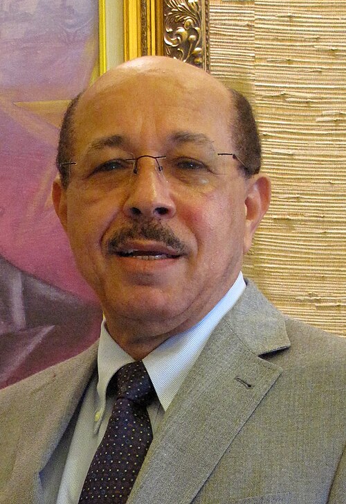 Temístocles Montás, interim president of the Dominican Liberation Party (2019-2021)