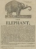 The.Elephant.1797.jpg