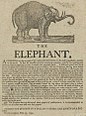 Crowninshields Elefant. Anschlagzettel vom September 1797